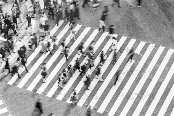 Shibuya crossing