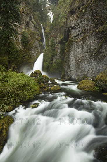 Wahclella Falls in the Columbia River Gorge