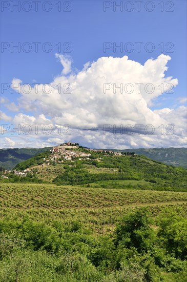 View across vineyards to the town with atmospheric clouds