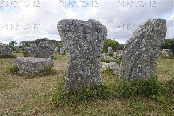 Menhirs near Erdeven