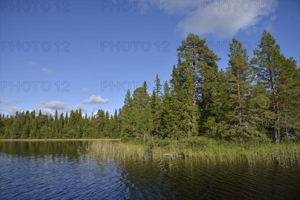 Swedish lake district