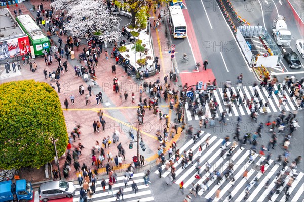 Shibuya crossing