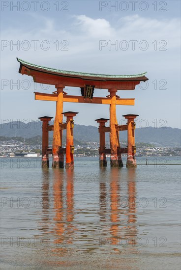 Itsukushima Floating Torii Gate in Water