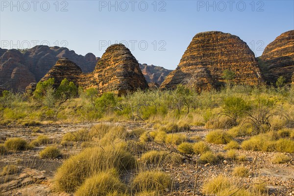 Bungle Bungles