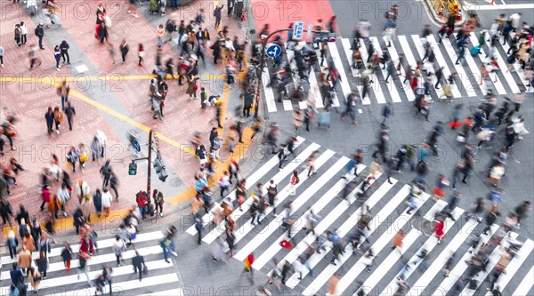 Shibuya crossing