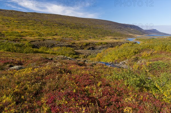 Autumnal foliage