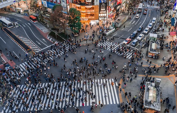 Shibuya Crossing from above