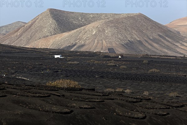 Volcanic landscape