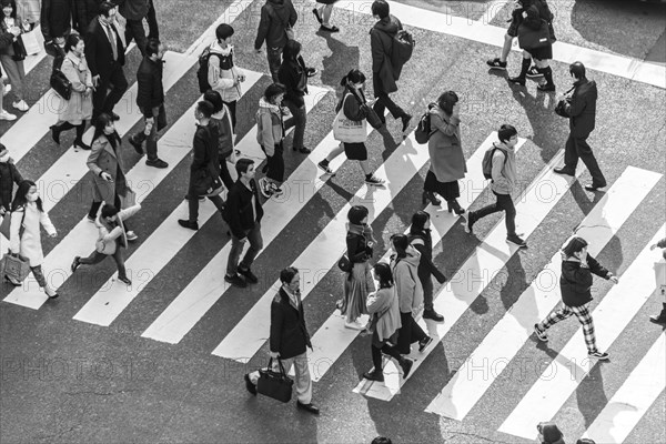 Shibuya crossing