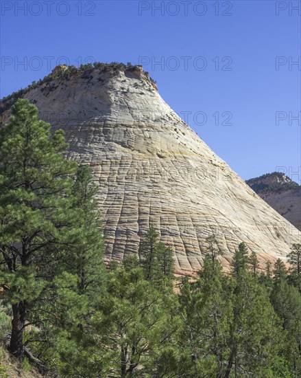 Checkerboard Mesa