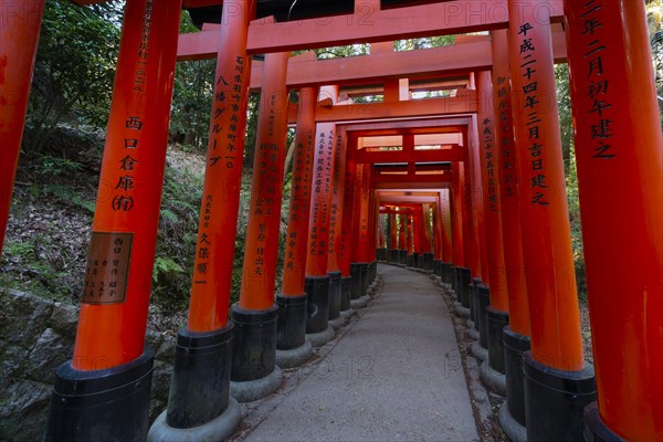 Fushimi Inari Taisha