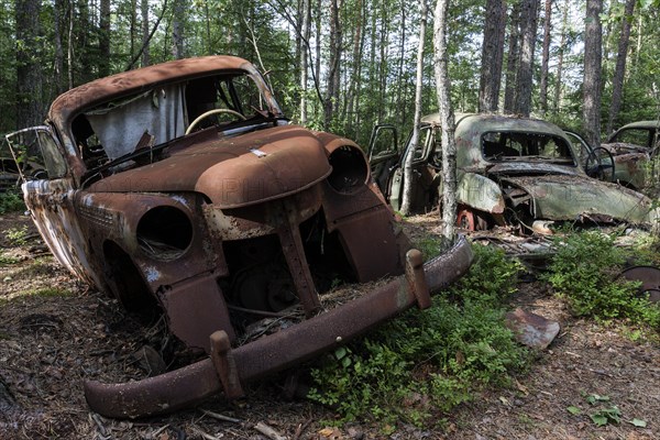 Junkyard in the forest