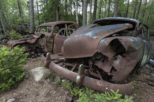 Junkyard in the forest