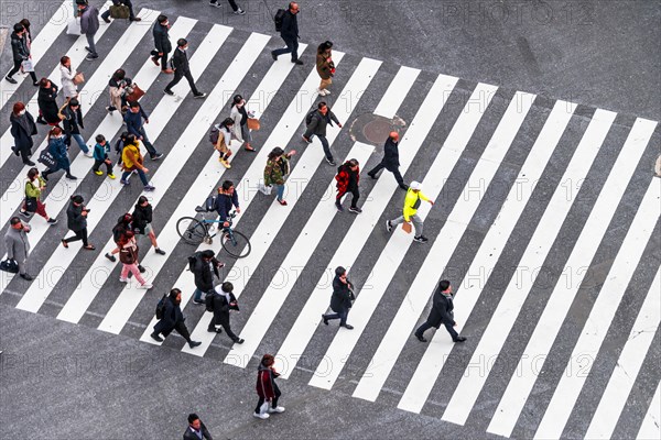 Shibuya crossing