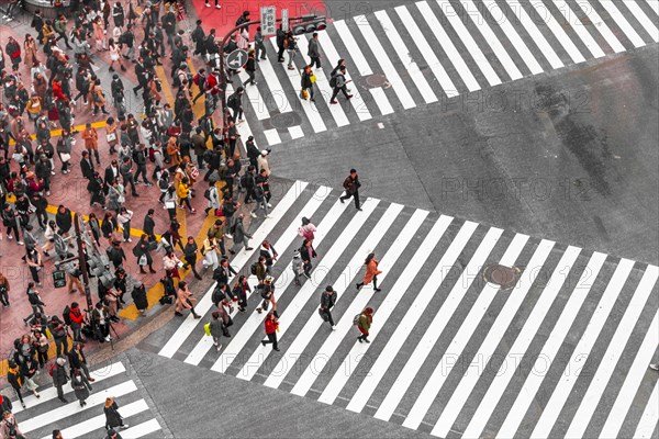 Shibuya crossing