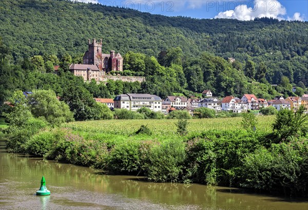 Mittelburg castle