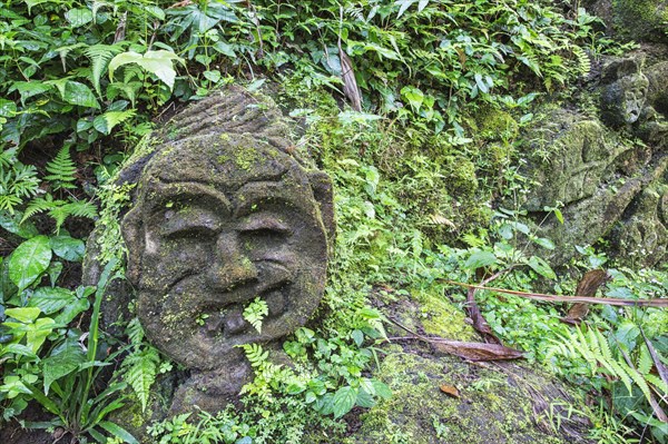 Moss-covered sculpture in the forest