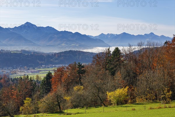 View from Hochberg mountain near Traunstein towards the Bavarian Alps
