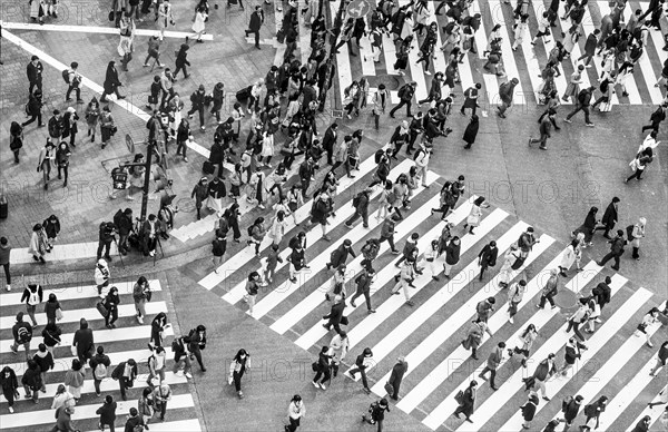 Shibuya crossing