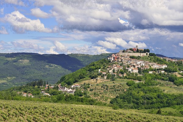 View across vineyards to the town with atmospheric clouds