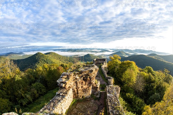 View of the Palatinate Forest from Wegelnburg Castle