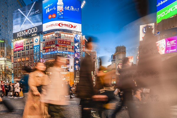 Shibuya Crossing