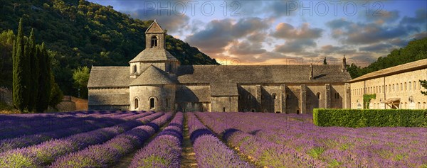 The Romanesque Cistercian Abbey of Notre Dame of Senanque