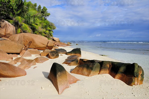 Granite rocks on the sandy beach beach