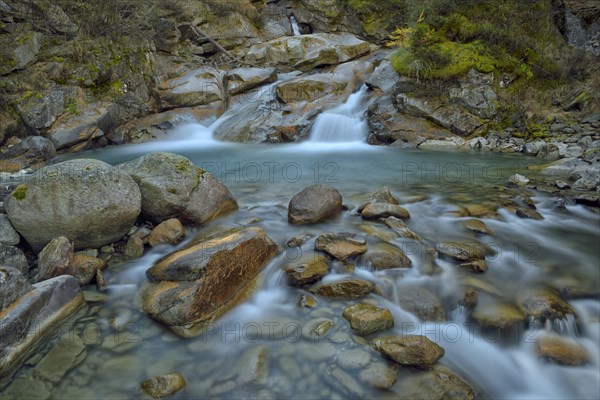 Mountain stream with fallen larch needles on the stones