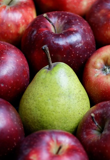 Pear amidst red Jonagored apples