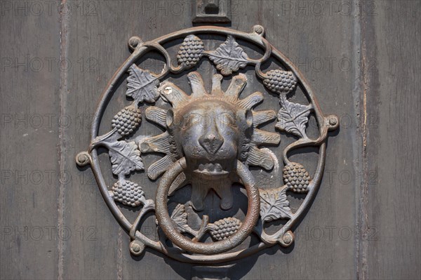 Lion head door knocker