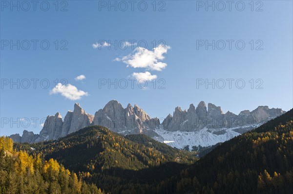 Mountain forest in autumn