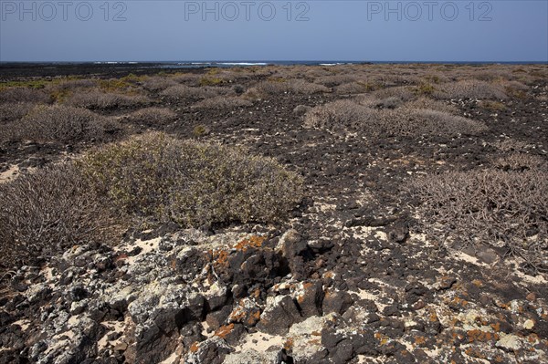 Bajo de los Sables in Orzola