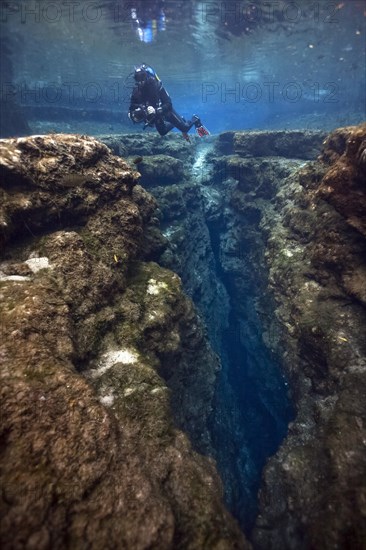 Diver at Little Devil in Santa Fe River