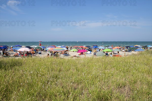 Sea and a sandy beach with sunshades