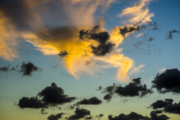 Clouds in an evening sky