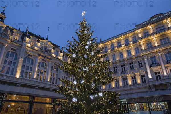 Christmas tree in front of the Pupp Hotel