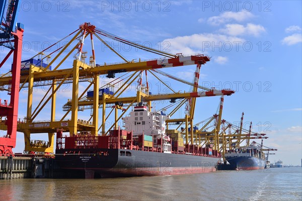 Container ship and gantry cranes