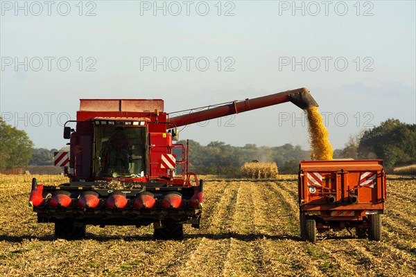 Combine harvester in action on the field
