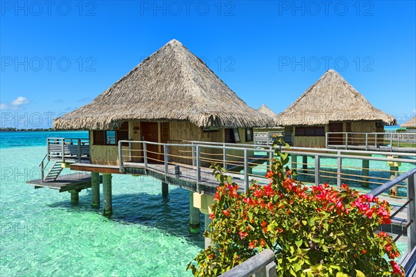 Overwater bungalows