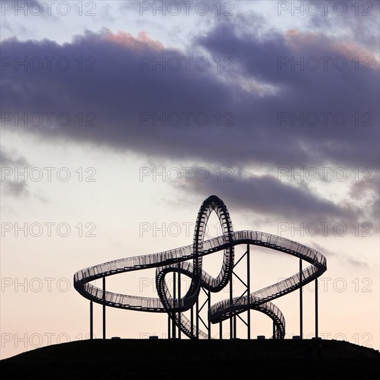 Landmark Tiger & Turtle - Magic Mountain