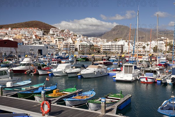 Marina and harbour