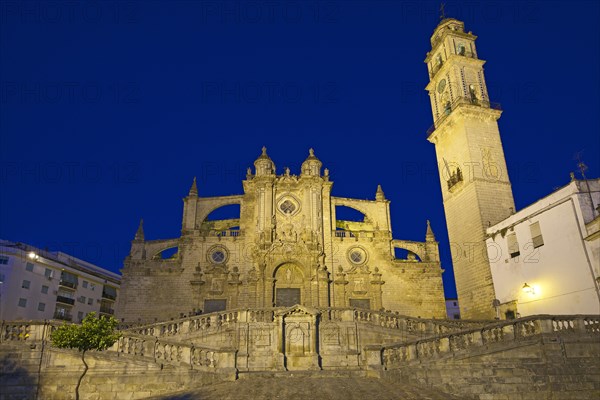 Cathedral La Colegiata del Salvador