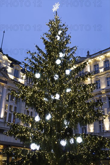 Christmas tree in front of the Pupp Hotel