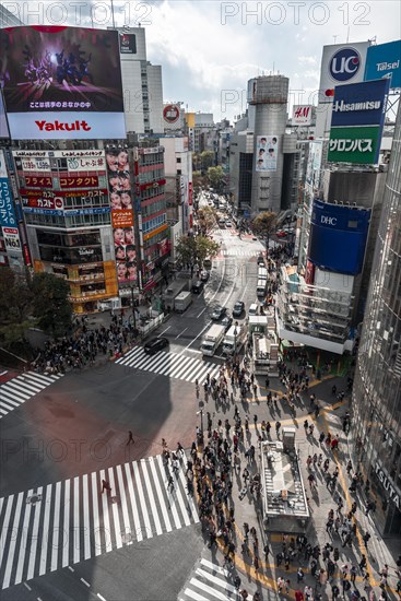 Crowd of people crossing with zebra crossing and traffic