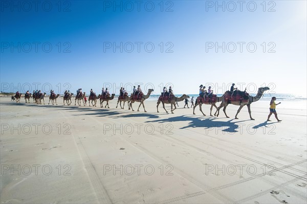 Tourists riding on camels on Cable Beach