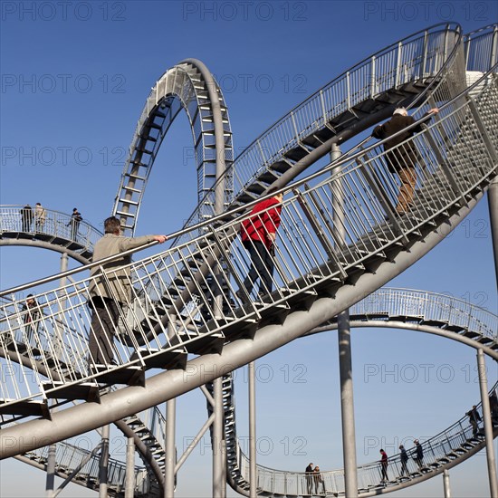 Landmark Tiger & Turtle - Magic Mountain