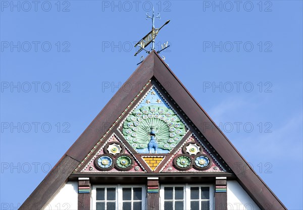 Half-timbered house with ornate facade