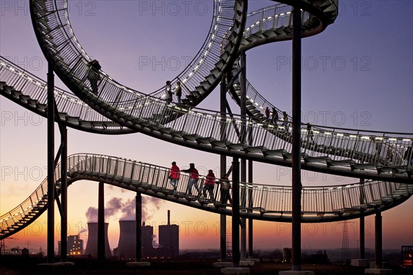 Landmark Tiger & Turtle - Magic Mountain