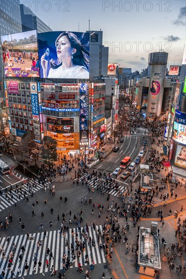 Shibuya Crossing from above